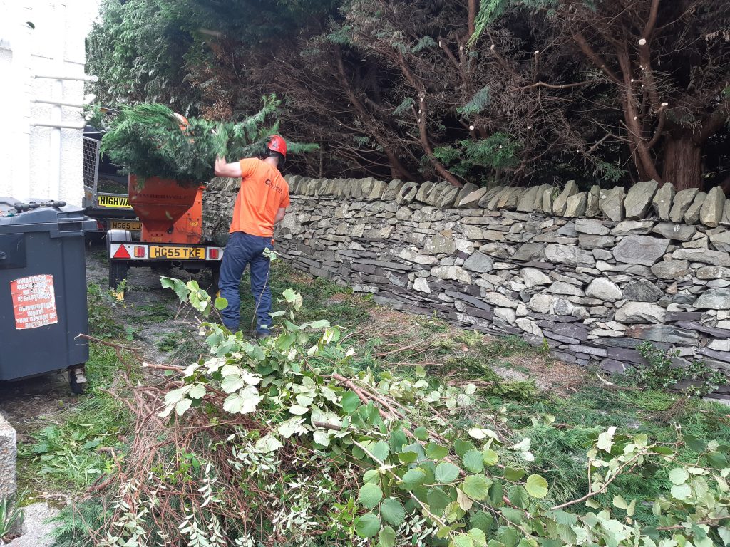 Hedge cutting chipped and removed. Woodchipper for hedge clear up. Hedge Llanberis Gwynedd